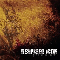 Despised Icon: Healing Process (CD)