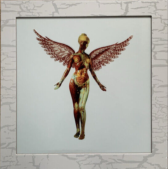 Nirvana - In Utero (CD Super Deluxe)