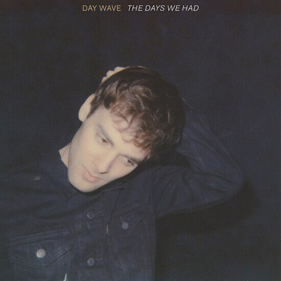 Day Wave: The Days We Had (Vinyl)