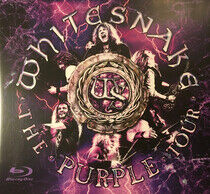 Whitesnake - The Purple Tour(Live)(CD/Blura - BLURAY Mixed product