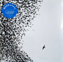 Wilco - Sky Blue Sky (2xVinyl)