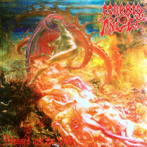 Morbid Angel: Blessed Are The Sick (Vinyl)