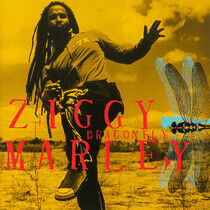 Marley Ziggy: Dragonfly