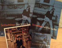 The Waterboys - Out of All This Blue (3CD Delu - CD
