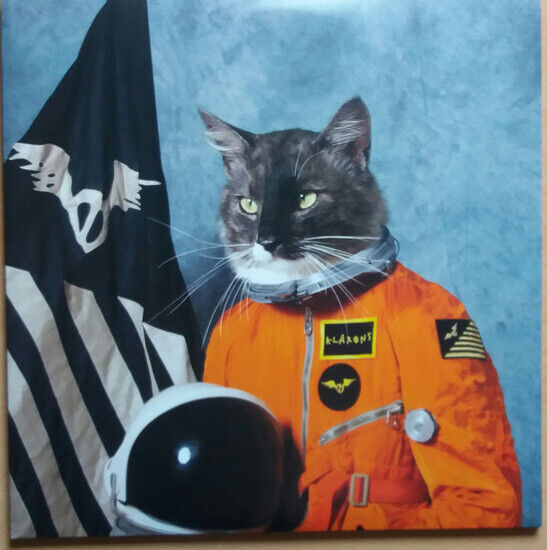 Klaxons: Surfing the Void (Reissue Vinyl 2x Vinyl edition)