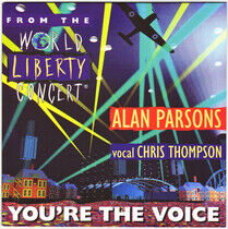 PARSONS, ALAN - 7-YOU'RE THE VOICE.. -CV- - 12in