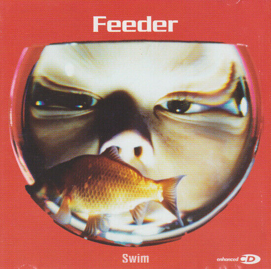 Feeder: Swim