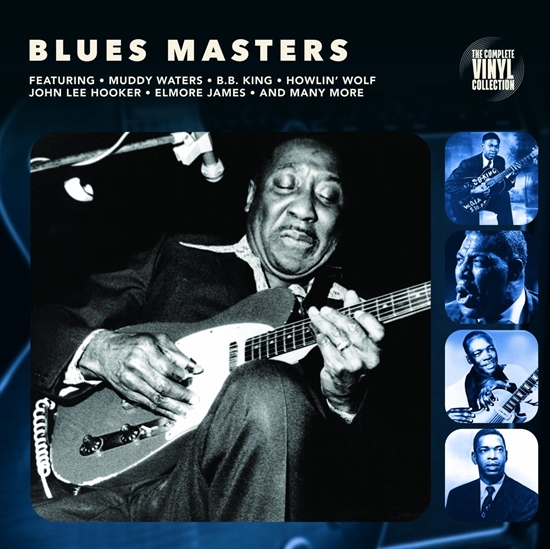 Diverse Kunstnere: Blues Masters (Vinyl)