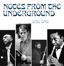 Diverse Kunstnere: Notes From The Underground - Radical Music Of The 20th Century (4xCD)