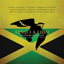Diverse Kunstnere: Send I A Lion - A Nighthawk Reg (CD)