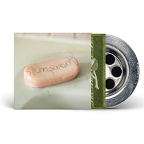 Dry Cleaning - Stumpwork (CD)
