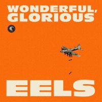 Eels: Wonderful, Glorius (Vinyl)