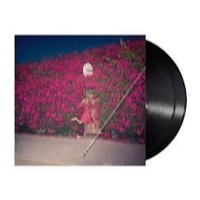 Feist: Pleasure (2xVinyl)