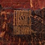 Fossils: Flesh Hammer (Vinyl)