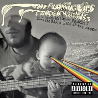 Flaming Lips & Stardeath And White Dwarf with Henry Rollins & Peaches: Doing The Dark Side Of The Moon (2xVinyl)