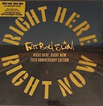 Fatboy Slim - Right Here, Right Now Remixes - LP VINYL