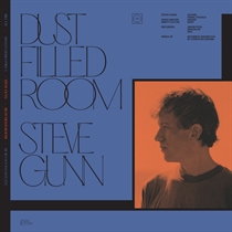 Fay, Bill & Gunn, Steve: Dust Filled Room (Vinyl)