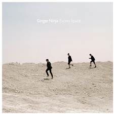 Ginger Ninja: Excess Space (CD)