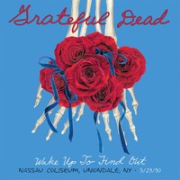 GRATEFUL DEAD: WAKE UP TO FIND OUT - NASSAU Coliseum  RSD 2015 (3xVinyl)