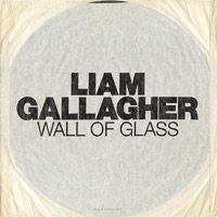 Gallagher, Liam: Wall Of Glass (Vinyl)