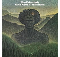 HAROLD MELVIN & TH... - WAKE UP EVERYBODY (Vinyl)