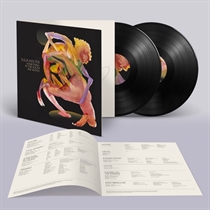 JULIA HOLTER - SOMETHING IN THE ROOM SHE MOVES (Vinyl)