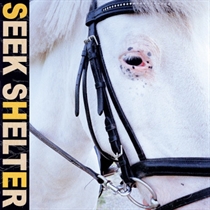 Iceage: Seek Shelter (Vinyl)