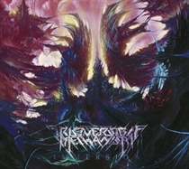 Irreversible Mechanism: Immersion (CD)
