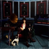 Casablancas, Julian: Phrazes For The Young (Vinyl)