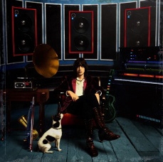 Casablancas, Julian: Phrazes For The Young (Vinyl)