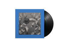 JAMES BLAKE - FRIENDS THAT BREAK YOUR HEART (Vinyl)