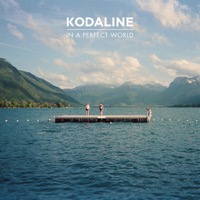 Kodaline: In A Perfect World (Vinyl)