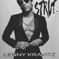 Kravitz, Lenny: Strut Ltd. Edition Super Deluxe Boxset (2xViny/CD)
