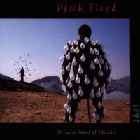 Pink Floyd - Delicate Sound Of Thunder (2CD)