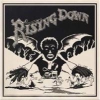 Roots: Rising Down (Vinyl)