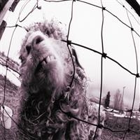 Pearl Jam: Vs. Remastered (Vinyl)