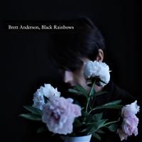 Anderson, Brett: Black Rainbows