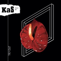 KaS Product - Try Out (Vinyl)