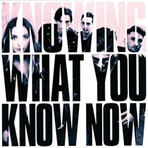 Marmozets: Knowing What You Know Now Ltd. (Vinyl)
