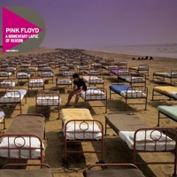 Pink Floyd - A Momentary Lapse Of Reason (CD)