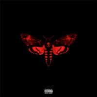 Lil Wayne: I Am Not A Human Being II (CD)