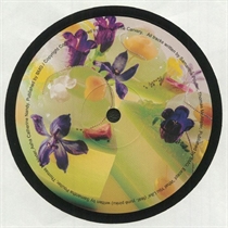 Logic1000: In The Sweetness Of You (Vinyl)