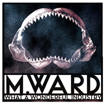 M. Ward: What A Wonderful Industry (Vinyl)