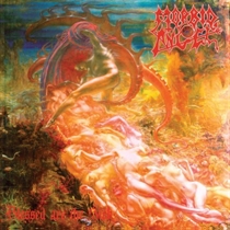 Morbid Angel: Blessed Are The Sick (CD)