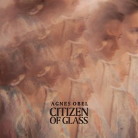 Obel, Agnes: Citizen Of Glass (Vinyl)