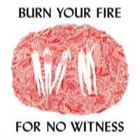 Olsen, Angel: Burn Your Fire For No Witness