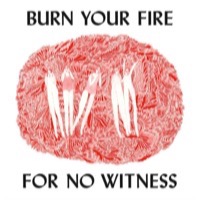 Olsen, Angel: Burn Your Fire For No Witness