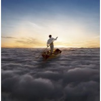 Pink Floyd - The Endless River (Vinyl)