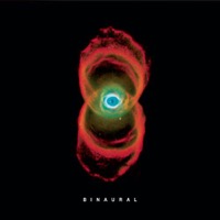 Pearl Jam: Binaural (2xVinyl)