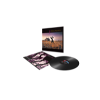 Pink Floyd - A Collection Of Great Dance So (Vinyl)